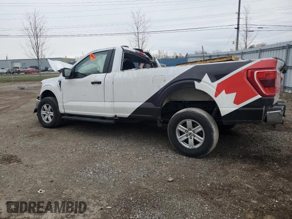 2021 Ford F-150 XL with VIN 1FTMF1E57MKF01861, listed as a Copart auction lot 51106135 with Not provided miles and Non repairable. Bid and sale history available at DreamBid. Image 2.