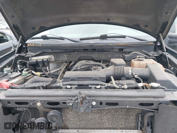 2010 Ford F-150 XL with VIN 1FTEX1E81AFA48403, listed as a IAAI auction lot 42499944 with 215,900 mi miles and . Bid and sale history available at DreamBid. Image 10.