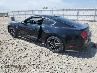 2019 Ford Mustang GT with VIN 1FA6P8CF0K5185215, listed as a Copart auction lot 61682205 with 36,356 mi miles and Salvage title. Bid and sale history available at DreamBid. Image 2.
