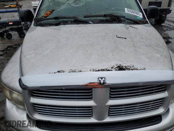 2004 Dodge 1500 SLT with VIN 1D7HA18D64S632790, listed as a Copart auction lot 55580905 with Not Provided miles and Salvage Title. Bid and sale history available at DreamBid. Image 11.