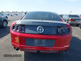 2013 Ford Mustang V6 with VIN 1ZVBP8AM1D5246288, listed as a IAAI auction lot 42024934 with 141,791 mi miles. Bid and sale history available at carsss.com. Image 16.