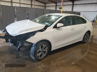 2019 Kia Forte LXS with VIN 3KPF24AD6KE067242, listed as a Copart auction lot 48718705 with 43,998 mi miles and Salvage Title. Bid and sale history available at DreamBid. Image 1.