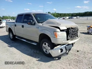 2010 Ford F-150 XL with VIN 1FTFW1EV7AFB20105, listed as a Copart auction lot 57966625 with 306,781 mi miles and Salvage title. Bid and sale history available at DreamBid. Image 13.