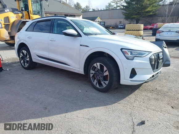 2022 Audi e-tron Premium z VIN WA1AAAGE2NB040546, wystawiony jako IAAI lot #41813053 z przebiegiem 47 002 mil mil oraz . Historia ofert i sprzedaży dostępna na DreamBid. Obrazek 1.