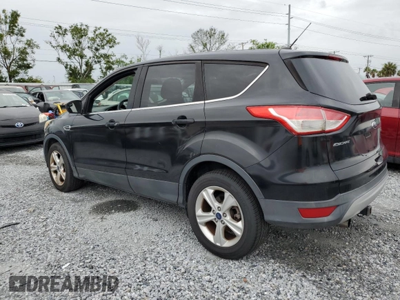 2013 Ford Escape SE with VIN 1FMCU0GX2DUD15316, listed as a Copart auction lot 62353865 with 81,848 mi miles and Clean title. Bid and sale history available at DreamBid. Image 2.
