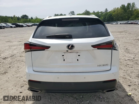 2019 Lexus NX 300 with VIN JTJBARBZ2K2179846, listed as a Copart auction lot 58236005 with 76,809 mi miles and Salvage title. Bid and sale history available at DreamBid. Image 6.