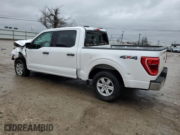 2021 Ford F-150 XL with VIN 1FTFW1E52MKD60853, listed as a Copart auction lot 43049145 with Not Provided miles and Salvage Title. Bid and sale history available at carsss.com. Image 2.