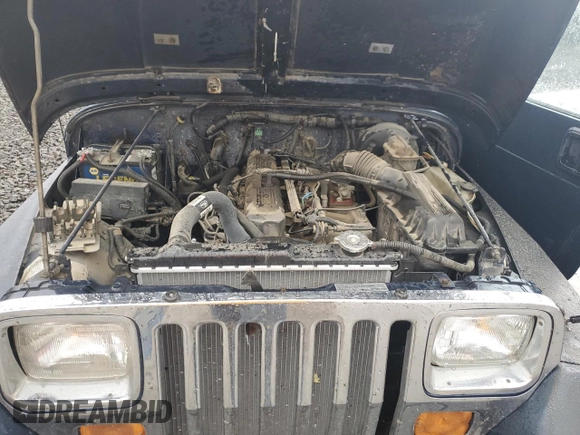 1991 Jeep Wrangler with VIN 2J4FY29S3MJ108717, listed as a Copart auction lot 75059044 with 202,413 mi miles and Salvage Title. Bid and sale history available at carsss.com. Image 11.