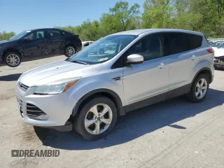 2013 Ford Escape SE with VIN 1FMCU9GX9DUC43390, listed as a Copart auction lot 53289834 with 160,961 mi miles and Non Repairable. Bid and sale history available at DreamBid. Image 1.