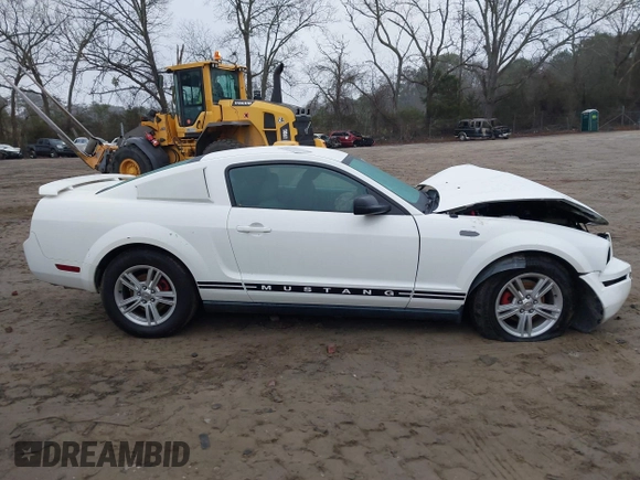 2005 Ford Mustang Deluxe with VIN 1ZVFT80N455211561, listed as a IAAI auction lot 41548177 with Not Provided miles. Bid and sale history available at carsss.com. Image 12.