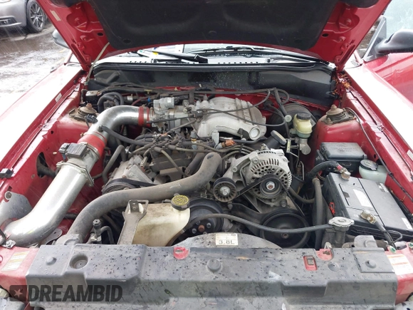 1998 Ford Mustang with VIN 1FAFP4448WF232559, listed as a IAAI auction lot 41625745 with 115,822 mi miles and . Bid and sale history available at DreamBid. Image 10.
