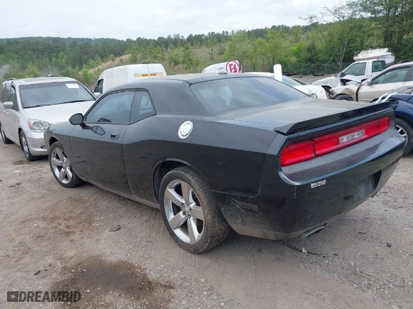 2010 Dodge Challenger R/T with VIN 2B3CJ5DT6AH283515, listed as a IAAI auction lot 42091794 with 1 mi miles. Bid and sale history available at carsss.com. Image 3.