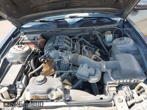 2013 Ford Mustang V6 with VIN 1ZVBP8AM7D5268215, listed as a IAAI auction lot 42302505 with 165,539 mi miles and . Bid and sale history available at DreamBid. Image 10.