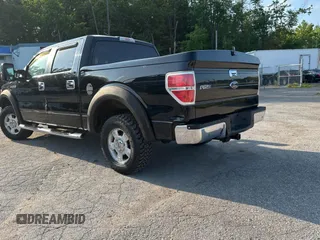 2009 Ford F-150 XL with VIN 1FTRW12889FB24610, listed as a Copart auction lot 62431355 with 254,000 mi miles and Clean title. Bid and sale history available at DreamBid. Image 3.