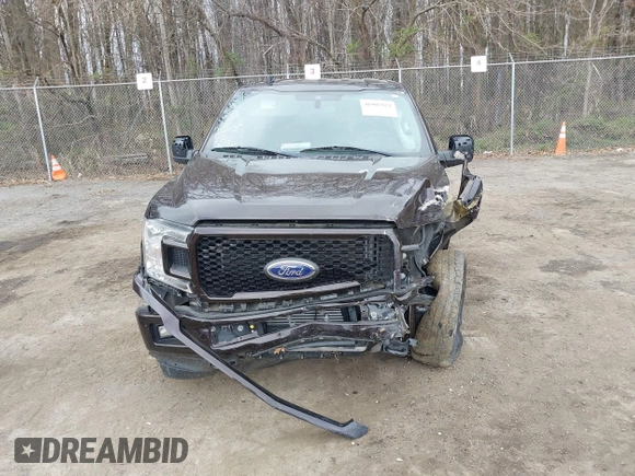 2020 Ford F-150 XL with VIN 1FTEX1EP9LKD59711, listed as a IAAI auction lot 41907922 with 67,175 mi miles. Bid and sale history available at carsss.com. Image 12.