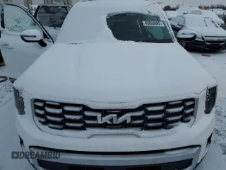 2024 Kia Telluride S with VIN 5XYP6DGC2RG564261, listed as a Copart auction lot 45869985 with 4,606 mi miles and Clean title. Bid and sale history available at DreamBid. Image 13.