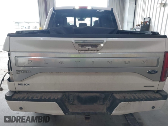 2015 Ford F-150 XLT z VIN 1FTEW1EF0FFB70257, wystawiony jako IAAI lot #42084443 z przebiegiem 123 351 mil mil oraz . Historia ofert i sprzedaży dostępna na DreamBid. Obrazek 16.