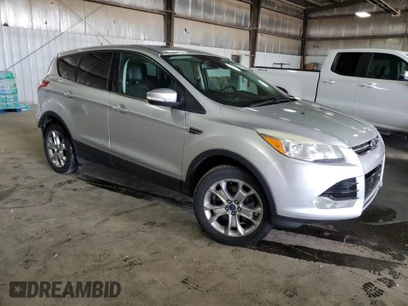 2013 Ford Escape SEL with VIN 1FMCU9HX4DUA94546, listed as a Copart auction lot 53787965 with 202,725 mi miles and Salvage Title. Bid and sale history available at carsss.com. Image 4.