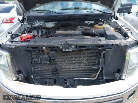2011 Ford F-150 XL with VIN 1FTMF1CMXBKD65619, listed as a IAAI auction lot 42328495 with 181,441 mi miles and . Bid and sale history available at DreamBid. Image 10.