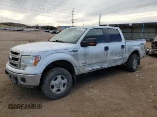 2014 Ford F-150 XL with VIN 1FTFW1ET2EFB47717, listed as a Copart auction lot 49323155 with 141,969 mi miles and Salvage title. Bid and sale history available at DreamBid. Image 1.