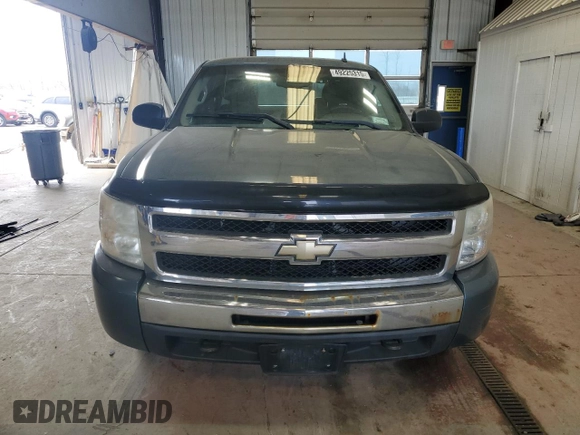 2010 Chevrolet Silverado 1500 LS with VIN 1GCSKREA6AZ107334, listed as a Copart auction lot 49225315 with 184,624 mi miles and Clean Title. Bid and sale history available at DreamBid. Image 5.