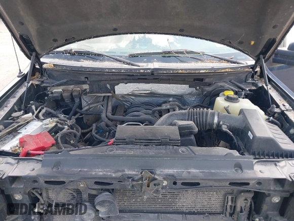 2014 Ford F-150 XL with VIN 1FTFX1EF3EFC36039, listed as a IAAI auction lot 42555459 with Not provided miles and . Bid and sale history available at DreamBid. Image 10.