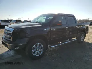 2013 Ford F-150 XL with VIN 1FTFW1EF7DFD39109, listed as a Copart auction lot 46646935 with 171,839 mi miles and Clean Title. Bid and sale history available at carsss.com. Image 1.