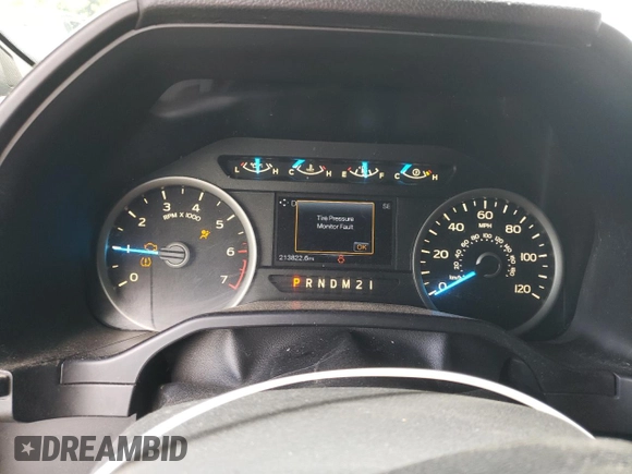 2015 Ford F-150 XLT with VIN 1FTEW1EF9FFC70079, listed as a Copart auction lot 51531525 with 213,822 mi miles and Salvage Title. Bid and sale history available at carsss.com. Image 9.