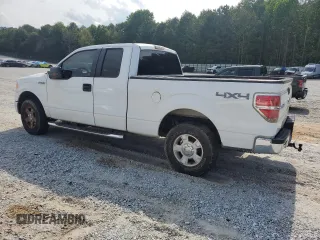 2010 Ford F-150 XL with VIN 1FTEX1E89AFB10260, listed as a Copart auction lot 57491885 with 185,044 mi miles and Salvage title. Bid and sale history available at DreamBid. Image 2.