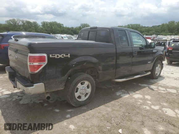 2013 Ford F-150 XL with VIN 1FTFX1ET0DFB38753, listed as a Copart auction lot 61244495 with 211,235 mi miles and Salvage title. Bid and sale history available at DreamBid. Image 3.
