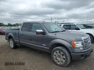 2012 Ford F-150 XL with VIN 1FTFW1ET1CFB55255, listed as a Copart auction lot 58023485 with 204,562 mi miles and Salvage title. Bid and sale history available at DreamBid. Image 4.
