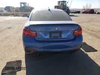 2017 BMW 2 Series 230i xDrive with VIN WBA2H9C50HV641853, listed as a Copart auction lot 83490184 with 0 mi miles and Salvage Title. Bid and sale history available at carsss.com. Image 6.