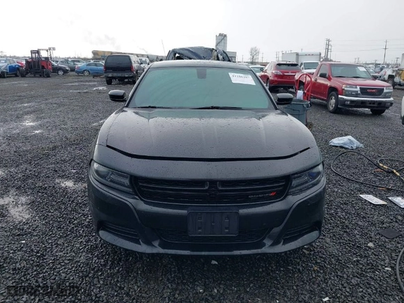 2018 Dodge Charger SXT with VIN 2C3CDXBGXJH273596, listed as a IAAI auction lot 41186287 with NaN miles. Bid and sale history available at carsss.com. Image 12.