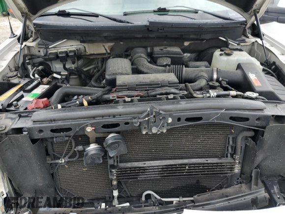 2009 Ford F-150 XL with VIN 1FTPW14V19FB11482, listed as a Copart auction lot 62647635 with 317,024 mi miles and Salvage title. Bid and sale history available at DreamBid. Image 11.