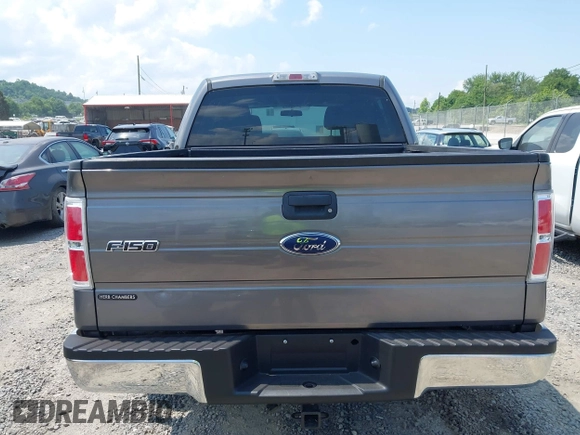 2010 Ford F-150 XL with VIN 1FTEW1E87AFD69672, listed as a IAAI auction lot 42590920 with 117,126 mi miles and . Bid and sale history available at DreamBid. Image 16.