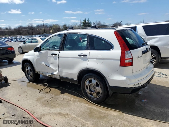 2010 Honda CR-V LX with VIN 5J6RE4H33AL097350, listed as a Copart auction lot 48903535 with 217,277 mi miles and Salvage Title. Bid and sale history available at carsss.com. Image 2.