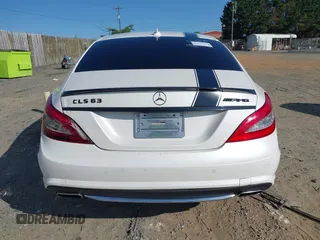 2013 Mercedes-Benz CLS 550 with VIN WDDLJ9BB6DA078723, listed as a IAAI auction lot 42410143 with 171,248 mi miles and . Bid and sale history available at DreamBid. Image 16.