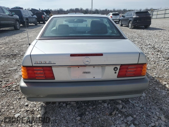 1991 Mercedes-Benz 300 with VIN WDBFA61E1MF022918, listed as a Copart auction lot 46788785 with 262,144 mi miles and Salvage Title. Bid and sale history available at DreamBid. Image 6.