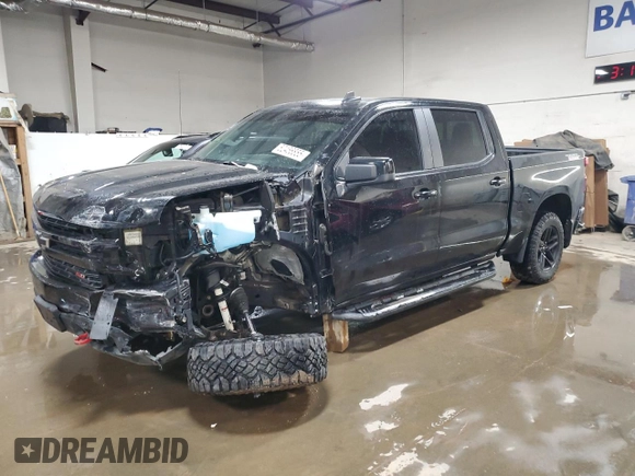 2019 Chevrolet Silverado 1500 LT Trail Boss with VIN 1GCPYFEDXKZ163999, listed as a Copart auction lot 52456855 with 81,804 mi miles and Salvage Title. Bid and sale history available at DreamBid. Image 1.