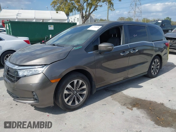 2022 Honda Odyssey EX-L with VIN 5FNRL6H77NB031502, listed as a IAAI auction lot 41706098 with 57,074 mi miles and . Bid and sale history available at DreamBid. Image 19.