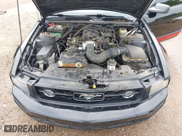 2006 Ford Mustang Standard with VIN 1ZVFT80N965157675, listed as a IAAI auction lot 42472331 with 153,220 mi miles and . Bid and sale history available at DreamBid. Image 10.