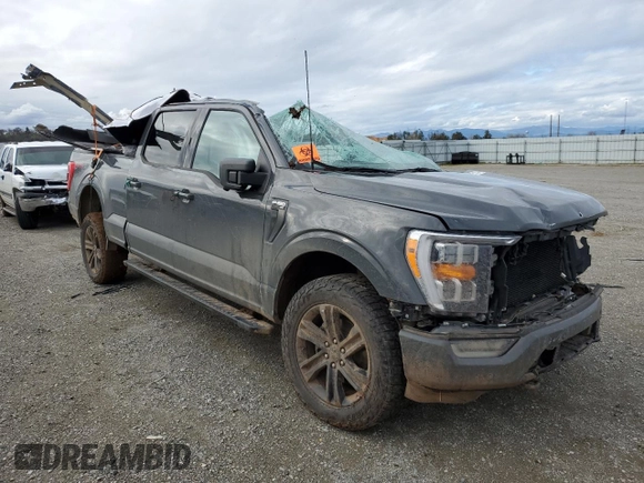 2021 Ford F-150 XL with VIN 1FTFW1E89MFC89542, listed as a Copart auction lot 43973255 with 82,319 mi miles and Salvage Title. Bid and sale history available at carsss.com. Image 4.