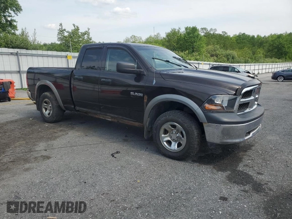 2010 Dodge 1500 SLT z VIN 1D7RV1GP6AS216576, wystawiony jako Copart lot #56883685 z przebiegiem 194 289 mil mil oraz Czysty tytuł • Clean title. Historia ofert i sprzedaży dostępna na DreamBid. Obrazek 4.