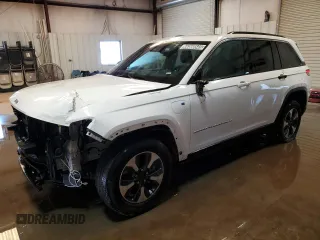 2024 Jeep Grand Cherokee with VIN 1C4RJYB6XRC122431, listed as a Copart auction lot 66568545 with 34,202 mi miles and Clean title. Bid and sale history available at DreamBid. Image 1.