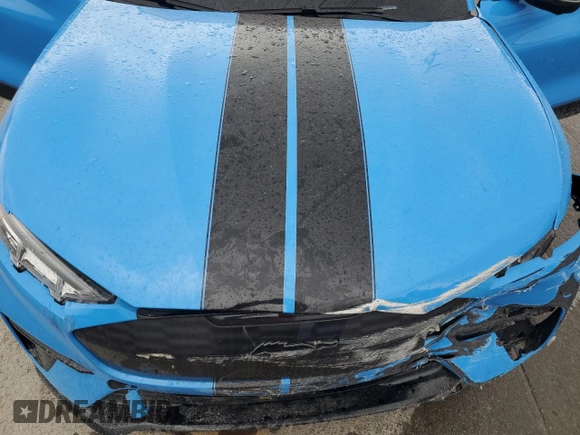 2022 Ford Mustang Mach-E GT with VIN 3FMTK4SE3NMA15065, listed as a Copart auction lot 49655515 with Not Provided miles and Salvage Title. Bid and sale history available at DreamBid. Image 14.