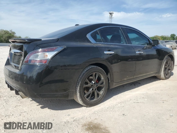 2013 Nissan Maxima SV with VIN 1N4AA5AP4DC817699, listed as a Copart auction lot 53532795 with 179,385 mi miles and Salvage title. Bid and sale history available at DreamBid. Image 3.