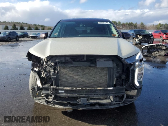 2020 Hyundai Palisade SE with VIN KM8R1DHE0LU035982, listed as a Copart auction lot 80505644 with 71,265 mi miles and Salvage title. Bid and sale history available at DreamBid. Image 5.