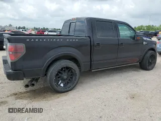 2010 Ford F-150 with VIN 1FTEW1CV2AFA87688, listed as a Copart auction lot 55324715 with 262,569 mi miles and Clean title. Bid and sale history available at DreamBid. Image 3.