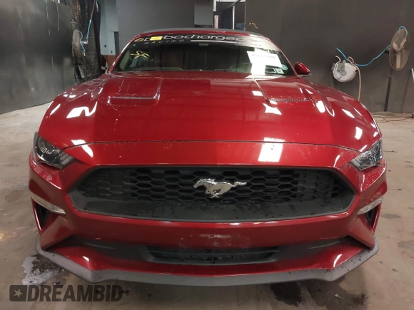 2019 Ford Mustang EcoBoost with VIN 1FATP8UH2K5205502, listed as a IAAI auction lot 41817355 with 42,789 mi miles and . Bid and sale history available at carsss.com. Image 13.