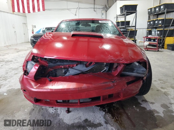 2008 Ford Mustang GT Deluxe with VIN 1ZVHT82H785110065, listed as a Copart auction lot 56034845 with 203,809 mi miles and Clean title. Bid and sale history available at DreamBid. Image 5.